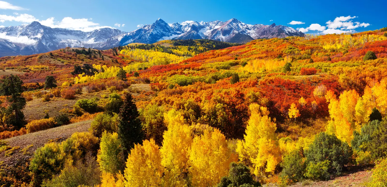 Autumn mountain panorama Mountain range above a broad autumn landscape with golden aspens