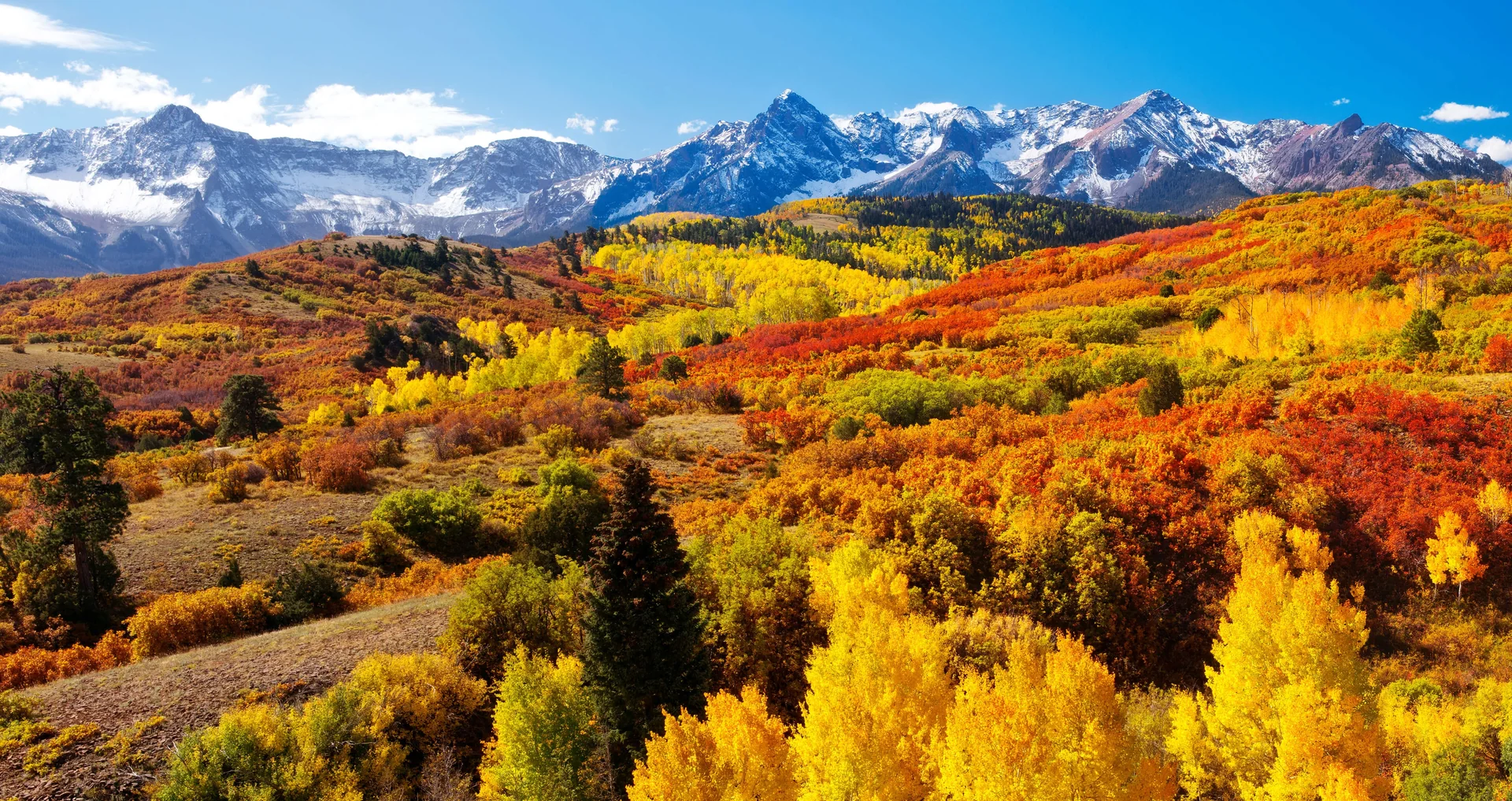 Snow-covered mountain range above colorful autumn foothills