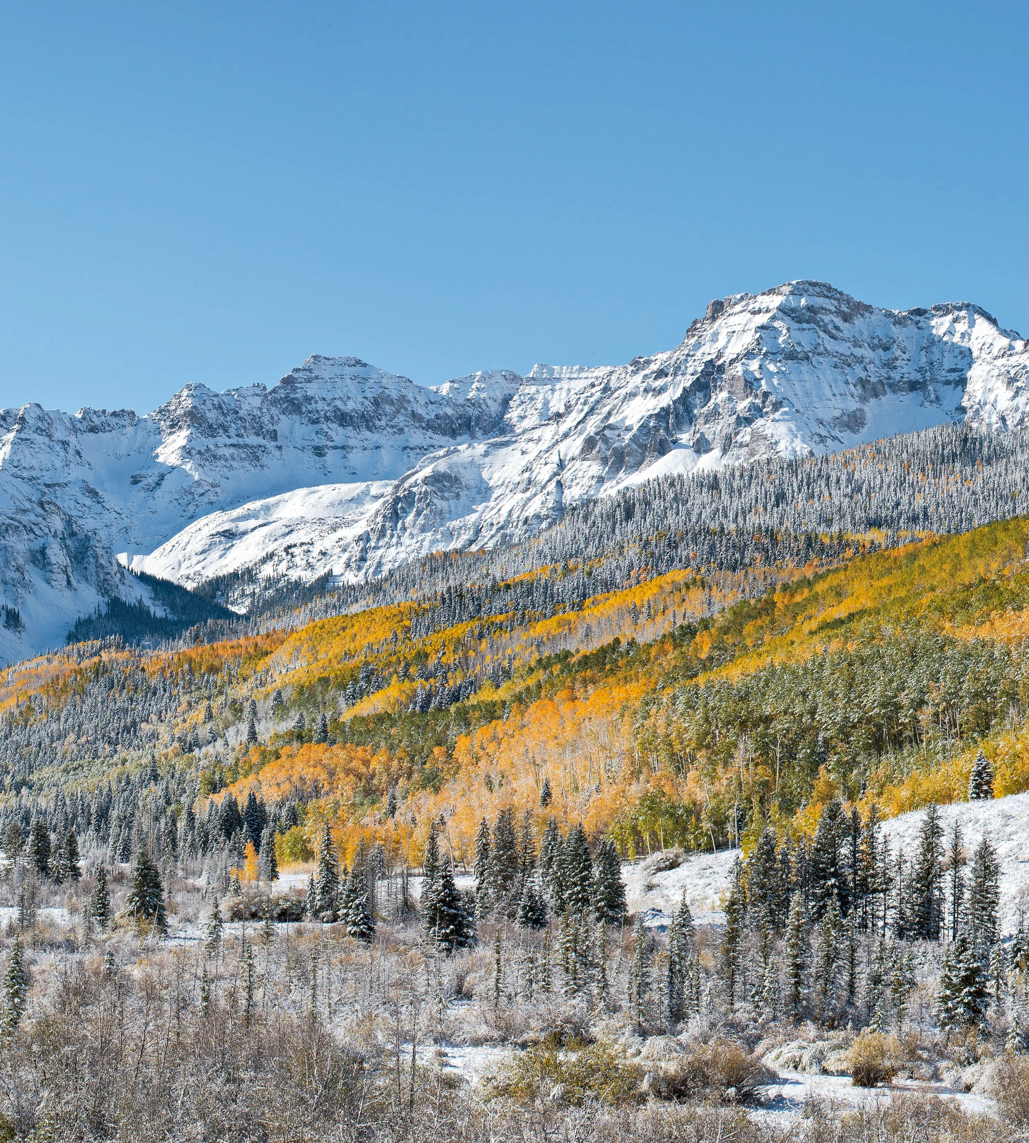 Snow-covered mountain peaks above a valley with autumn aspens